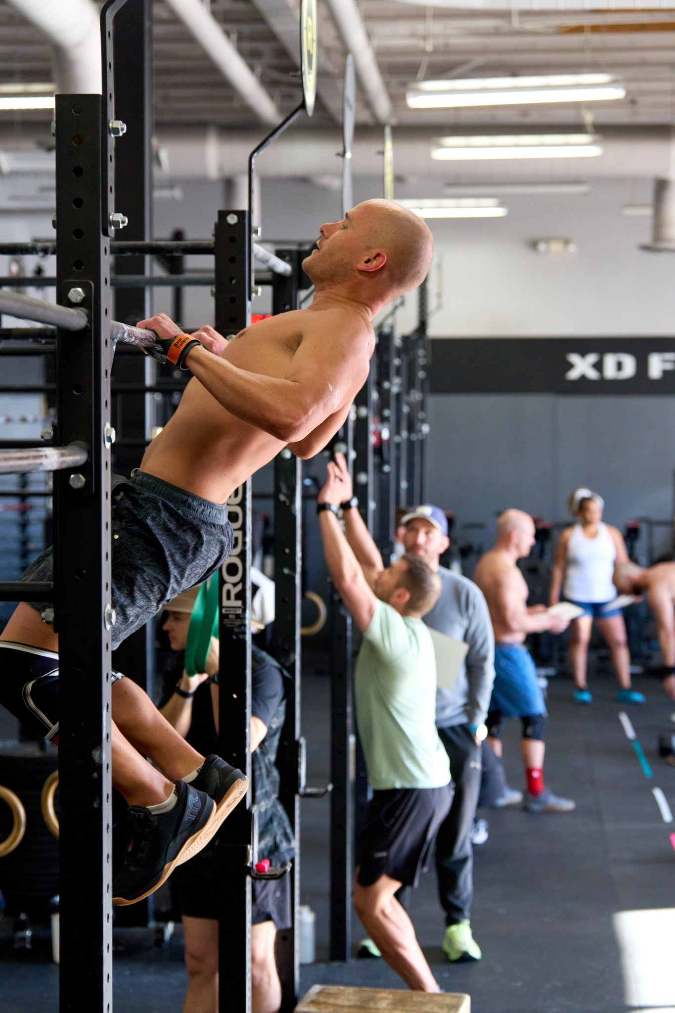 XD2620102.jpg